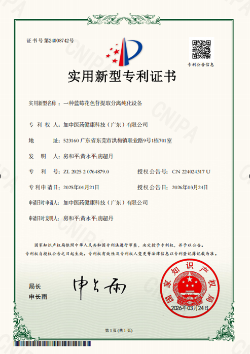 Utility Model Patent Certificate